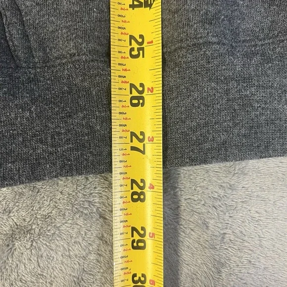 Michigan The Mitten Livnfresh Sweatshirt Tailgate Hoodie Large Detroit Tigers - Picture 6 of 6